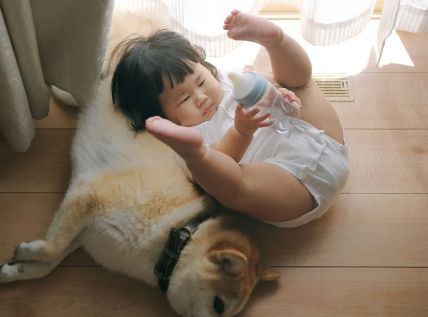 baby with pet